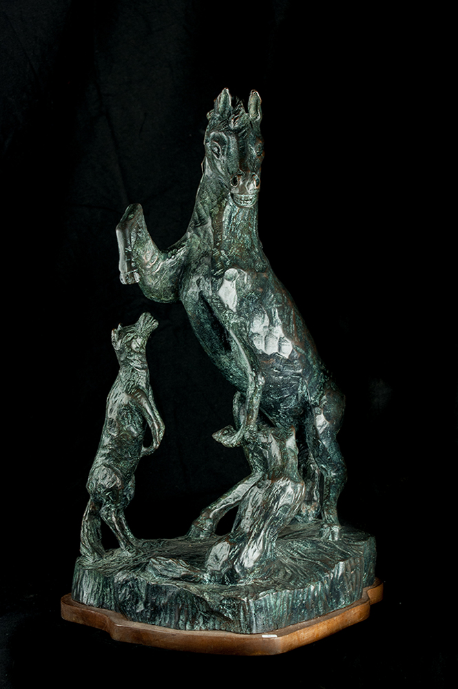 Natura indomina